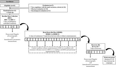 Effects of Resistance Exercise and Nutritional Supplementation on Dynamic Cerebral Autoregulation in Head-Down Bed Rest